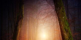 Czy na ścieżce rowerowej trzeba mieć oświetlenie?