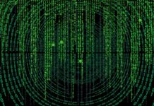 Skąd nazwa cymbergaj?