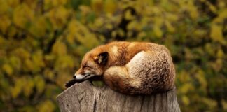 Co zrobić gdy jest Spięcie?