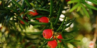 Czy w nowych blokach jest ciszej?