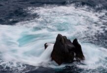 Jak wygląda format A6?