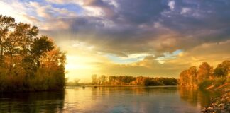 Jak przyczepić liście do kapelusza?