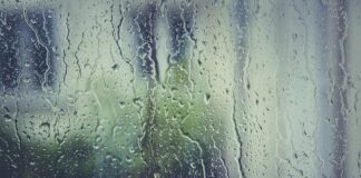 Gdzie można kupić korki do prądu?