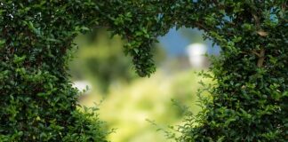 Co kupić do ogrodu dla dzieci?