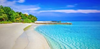 Na czym siedzieć na plaży?