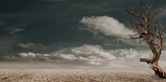 Jak pozbyć się martwego naskórka z pięt?