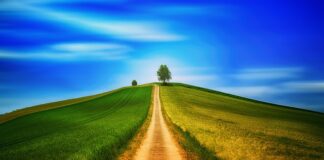 Kiedy się niepokoić gdy dziecko nie chodzi?