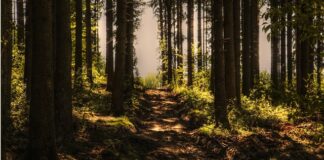 Czy nagrywanie z drona jest legalne?