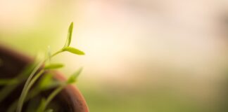 Jak pisać szybciej?