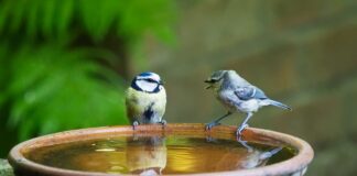 Co mówi 10-miesięczne dziecko?