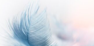 Czym się rożni pióro wieczne od kulkowego?