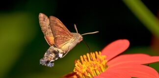 Jak Odetkać dyszę w drukarce 3D?