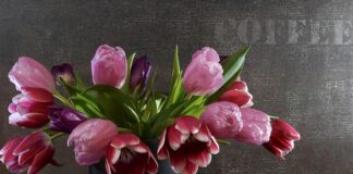 Czym zabezpieczyć sprężyny w trampolinie?