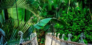 Ile trwa kurs na drona?