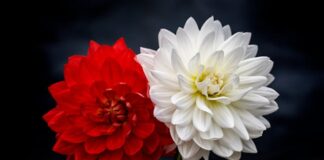 kwiaty sztuczne do wazonów